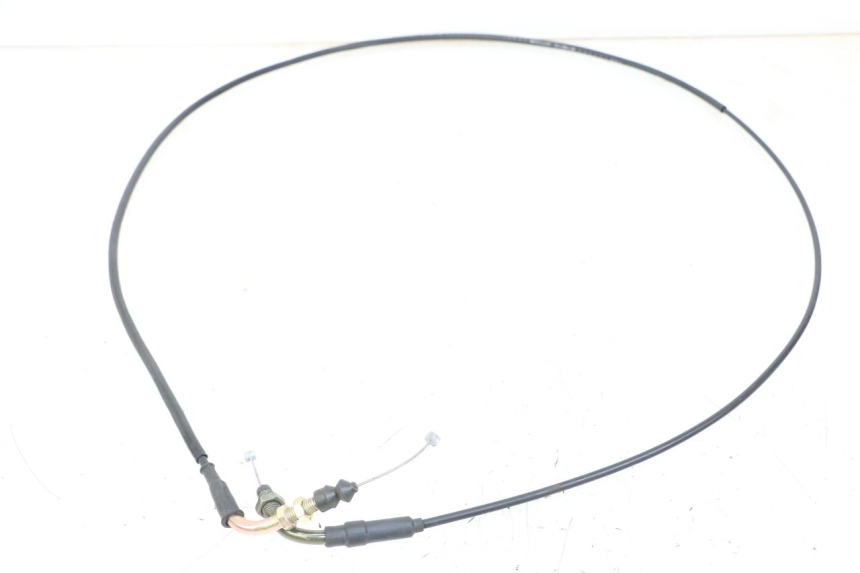 photo de GASZUG TNT MOTOR BOSTON 4T 50 (2018 - 2025)