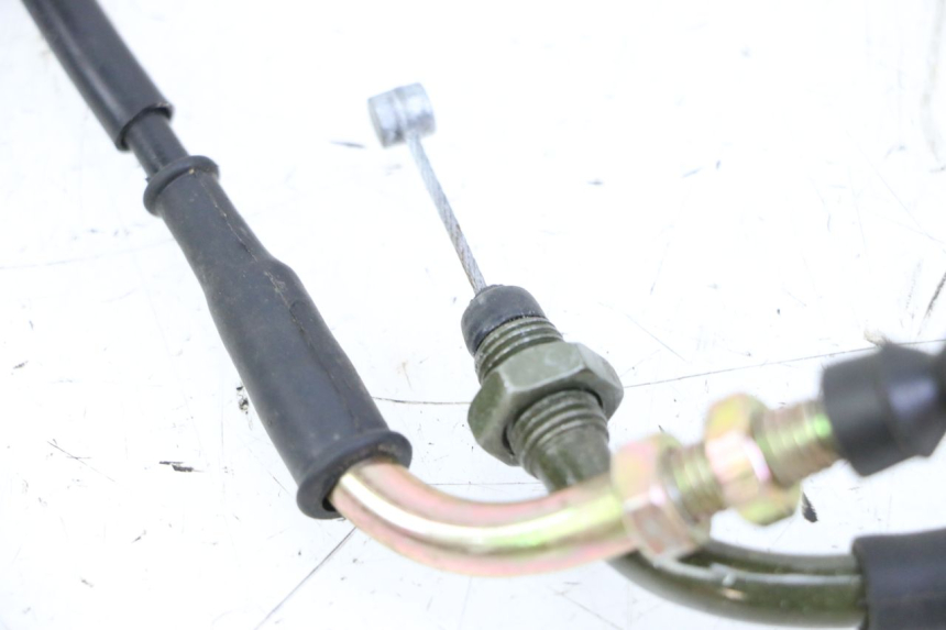 photo de GASZUG TNT MOTOR BOSTON 4T 50 (2018 - 2025)