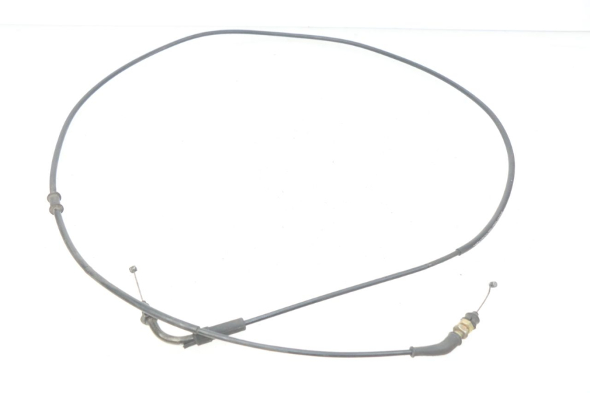 photo de GASZUG PEUGEOT TWEET 4T 50 (2018 - 2020)