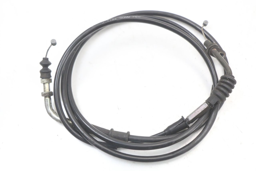 photo de GASZUG BEELINE VELOCE 4T 50 (2011 - 2020)