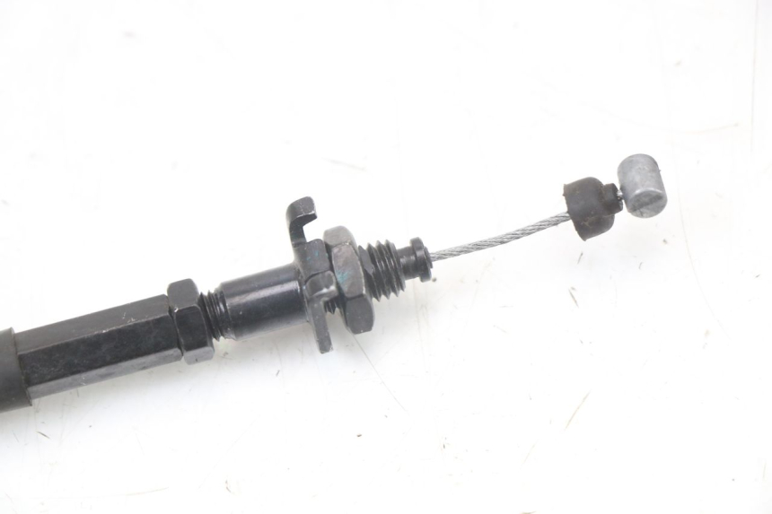 photo de GASZUG PIAGGIO VESPA PRIMAVERA 4T 50 (2021 - 2024)