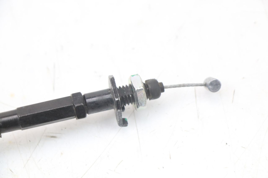 photo de GASZUG PIAGGIO VESPA PRIMAVERA 4T 50 (2021 - 2024)