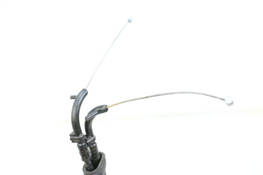 photo de GASZUG YAMAHA XJN DIVERSION 600 (2000 - 2003)
