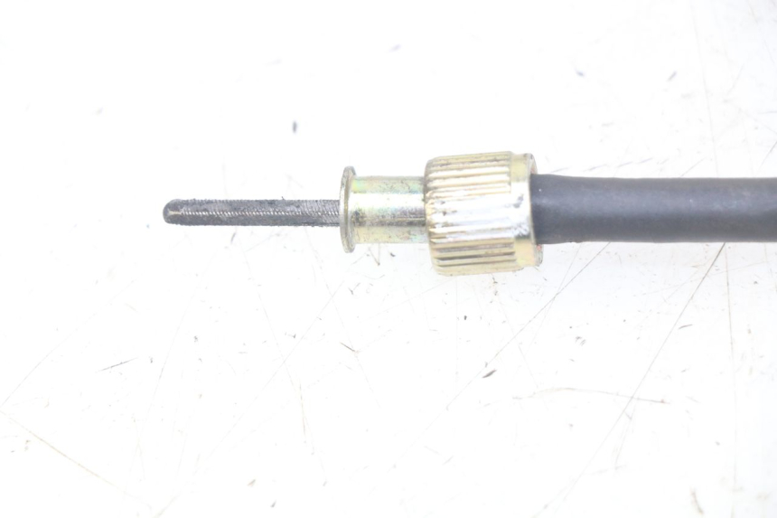 photo de TACHOWELLE KSR PANDORA 4T 50 (2018 - 2023)