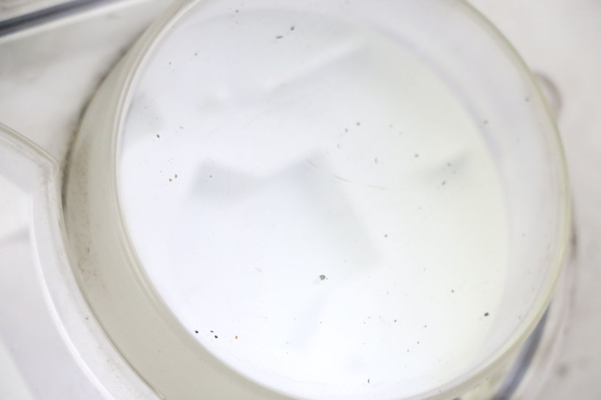 photo de TACHOMETER GLAS PEUGEOT SATELIS 250 (2006 - 2012)