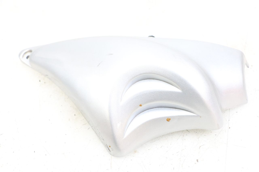 photo de Seitenverkleidung rechts am Rahmen HYOSUNG GF 125 (2001 - 2005)