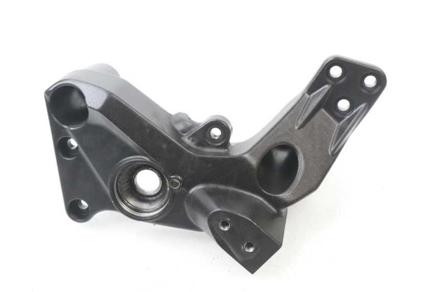 photo de RAHMENABDECKUNG LINKS BMW C SPORT 650 (2015 - 2021)