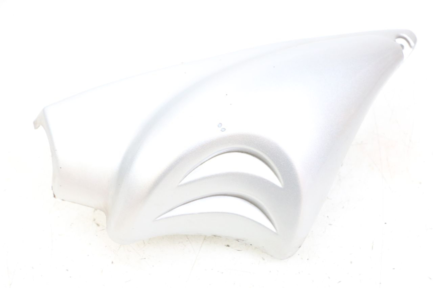 photo de RAHMENABDECKUNG LINKS HYOSUNG GF 125 (2001 - 2005)