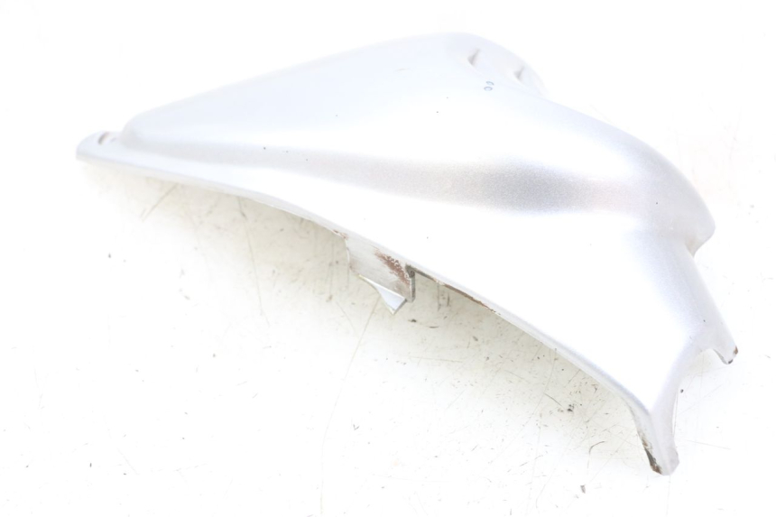 photo de RAHMENABDECKUNG LINKS HYOSUNG GF 125 (2001 - 2005)