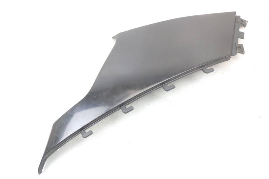 photo de LINKS UNTER DEM LINKEN SITZ BMW C1 125 (2000 - 2003)