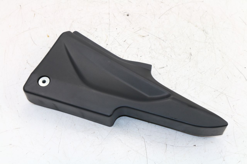 photo de LINKS UNTER DEM LINKEN SITZ DAELIM VJ ROADWIN FI 125 (2008 - 2017)