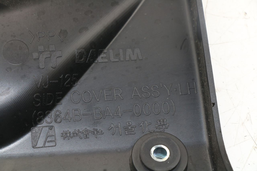 photo de LINKS UNTER DEM LINKEN SITZ DAELIM VJ ROADWIN FI 125 (2008 - 2017)