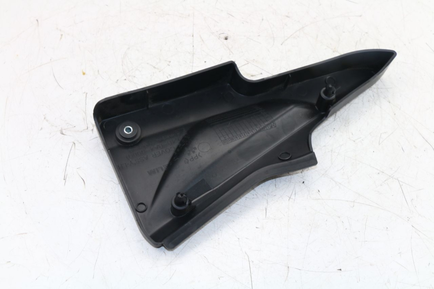 photo de LINKS UNTER DEM LINKEN SITZ DAELIM VJ ROADWIN FI 125 (2008 - 2017)