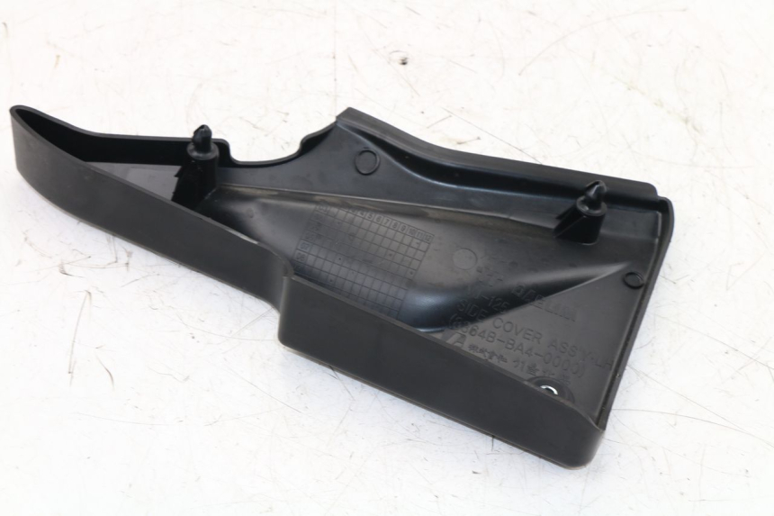 photo de LINKS UNTER DEM LINKEN SITZ DAELIM VJ ROADWIN FI 125 (2008 - 2017)