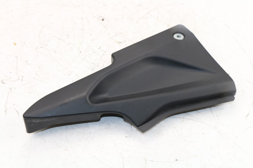 photo de LINKS UNTER DEM LINKEN SITZ DAELIM VJ ROADWIN FI 125 (2008 - 2017)