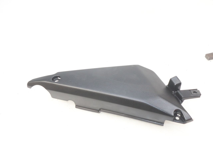 photo de LINKS UNTER DEM LINKEN SITZ KAWASAKI Z 650 (2016 - 2019)