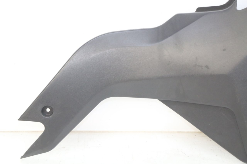 photo de LINKS UNTER DEM LINKEN SITZ YAMASAKI RAPTOR 50 (2013 - 2018)