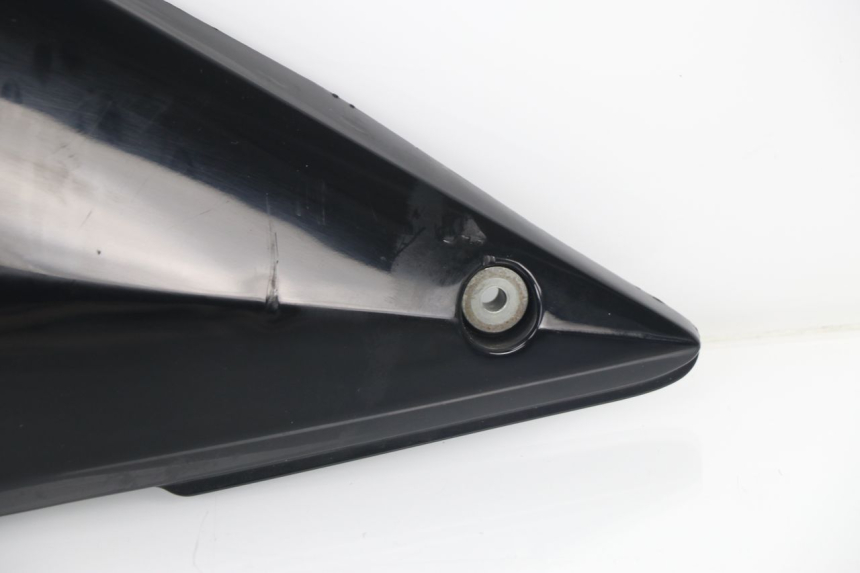 photo de LINKS UNTER DEM LINKEN SITZ SUZUKI GSF S BANDIT 600 (2000 - 2004)