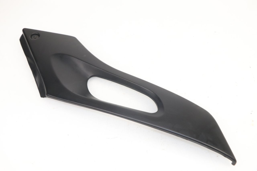 photo de LINKS UNTER DEM LINKEN SITZ SUZUKI XF FREEWIND 650 (1997 - 2003)