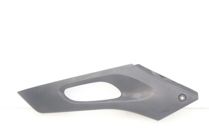 photo de LINKS UNTER DEM LINKEN SITZ SUZUKI XF FREEWIND 650 (1997 - 2003)