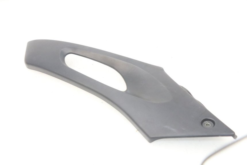 photo de LINKS UNTER DEM LINKEN SITZ SUZUKI XF FREEWIND 650 (1997 - 2003)