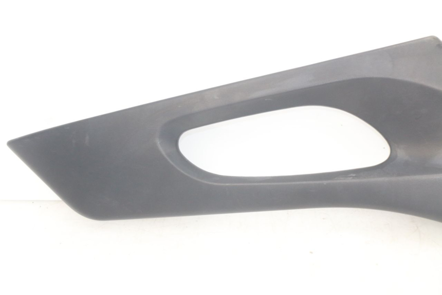 photo de LINKS UNTER DEM LINKEN SITZ SUZUKI XF FREEWIND 650 (1997 - 2003)