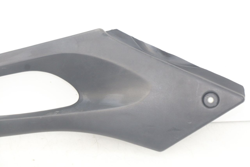 photo de LINKS UNTER DEM LINKEN SITZ SUZUKI XF FREEWIND 650 (1997 - 2003)