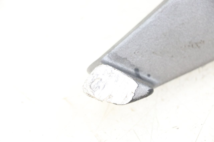 photo de FUSSRASTEN HINTEN LINKS PEUGEOT GEOPOLIS RS 125 (2007 - 2009)