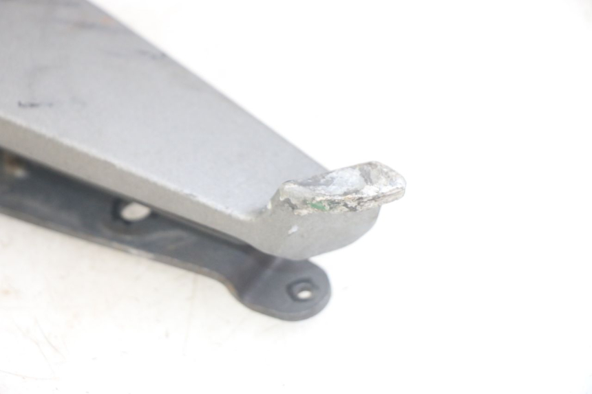 photo de FUSSRASTEN VORN RECHT PEUGEOT GEOPOLIS RS 125 (2007 - 2009)