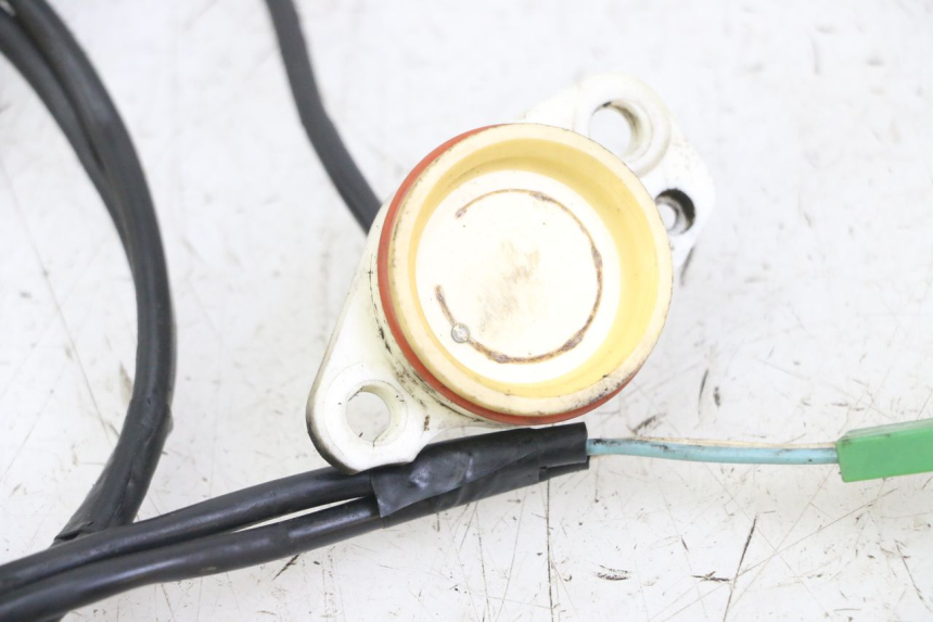 photo de TOTPUNKTSENSOR YAMAHA FZS FAZER 600 (2001 - 2003)