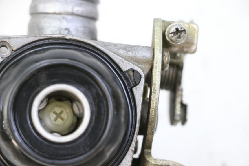 photo de VERGASER JM MOTORS EVOLIS 4T 50 (2018 - 2022)