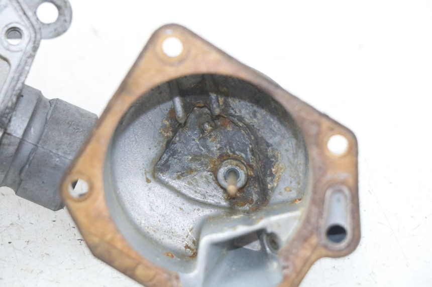 photo de VERGASER TNT MOTOR ROMA 10' 2T 50 (2011 - 2018)