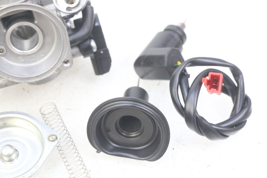 photo de VERGASER TNT MOTOR ROMA 10' 4T 50 (2019 - 2022)