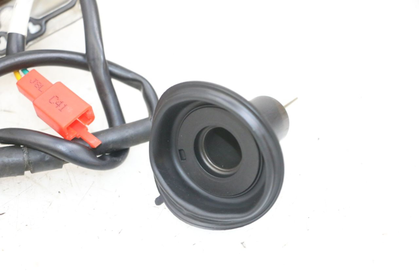 photo de VERGASER TNT MOTOR ROMA 10' 4T 50 (2019 - 2022) - Fokus auf die Struktur