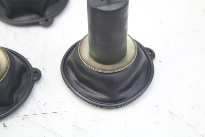 photo de VERGASER YAMAHA XJN DIVERSION 600 (2000 - 2003)