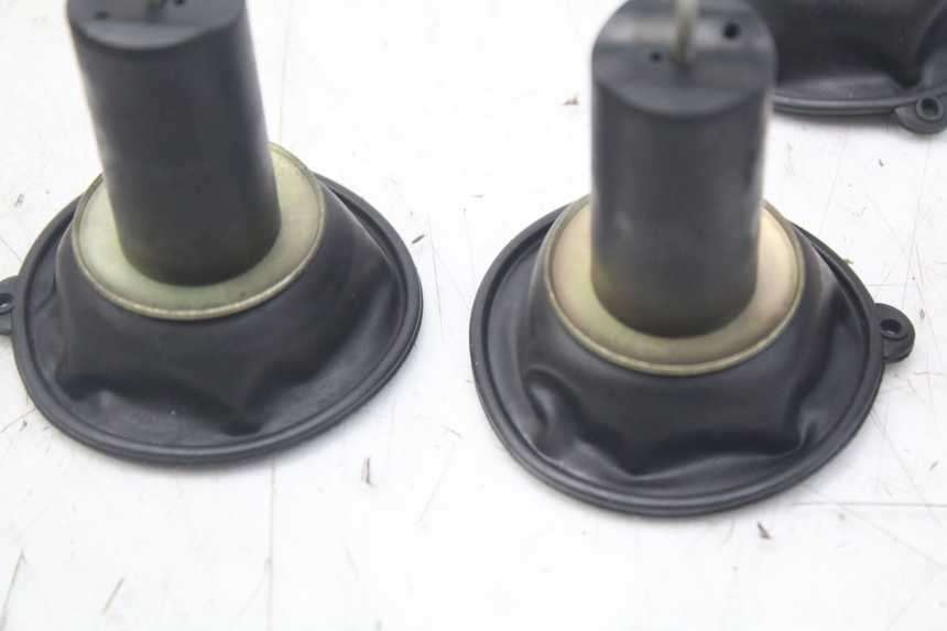 photo de VERGASER YAMAHA XJN DIVERSION 600 (2000 - 2003)