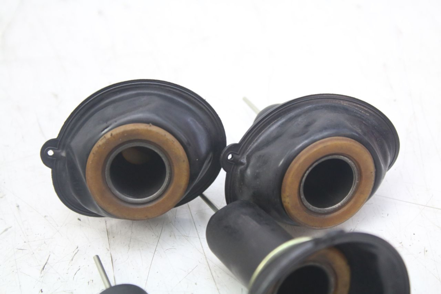 photo de VERGASER YAMAHA XJN DIVERSION 600 (2000 - 2003)