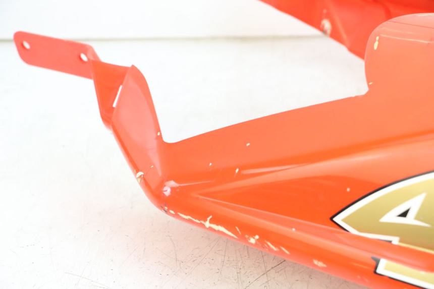 photo de HECKVERKLEIDUNG APRILIA RS 50 (2006 - 2010)