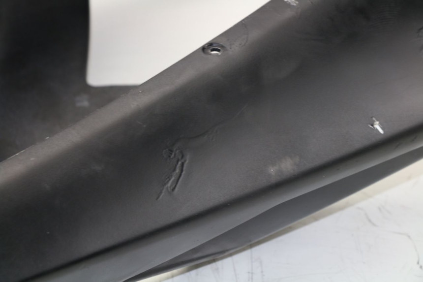 photo de HECKVERKLEIDUNG APRILIA RS 50 (2006 - 2010)