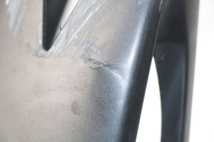 photo de HECKVERKLEIDUNG MV AGUSTA BRUTALE R WALLY 910 (2008 - 2008)