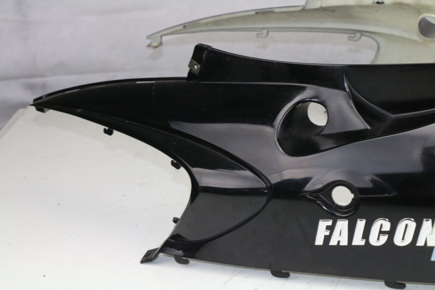 photo de HECKVERKLEIDUNG FALCONBIKE F-125 125 (2007 - 2012)
