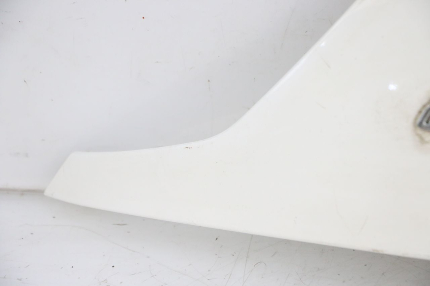 photo de HECKVERKLEIDUNG SYM FIDDLE 3 III 125 (2014 - 2020)