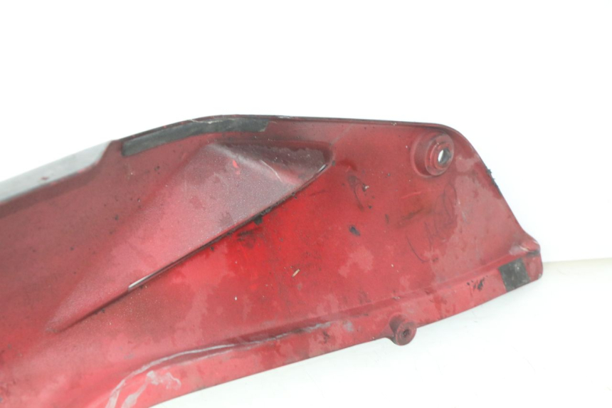 photo de HECKVERKLEIDUNG HONDA VFR FI RC46 800 (1998 - 2001)