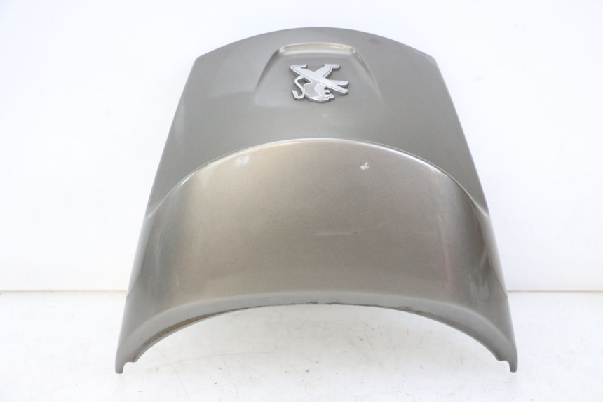 photo de HECKVERKLEIDUNG PEUGEOT SATELIS 125 (2013 - 2018)
