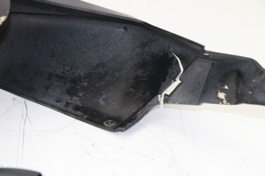 photo de HECKVERKLEIDUNG APRILIA RS 50 (2006 - 2010)