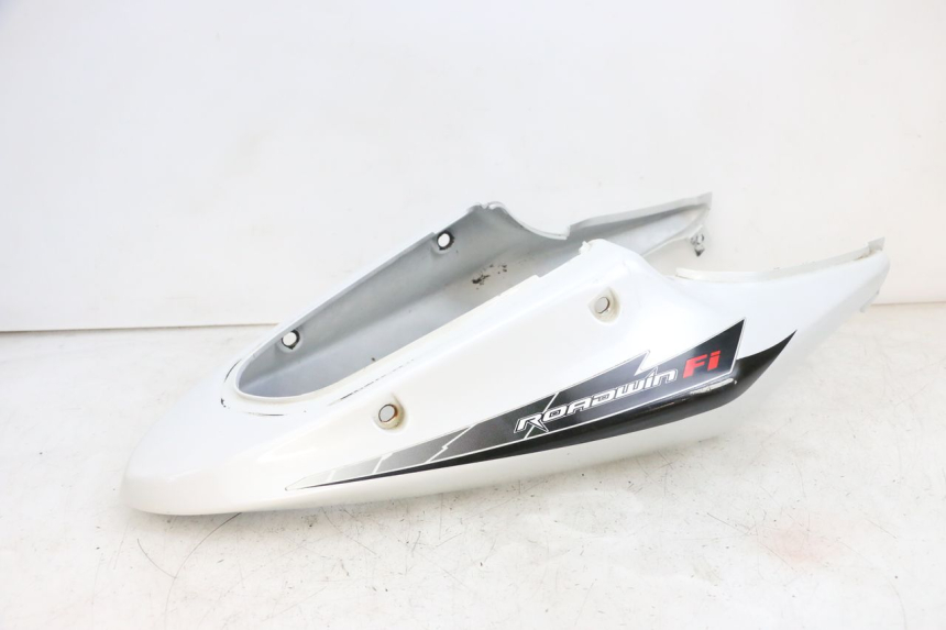 photo de HECKVERKLEIDUNG DAELIM VJ ROADWIN FI 125 (2008 - 2017) - Hauptansicht