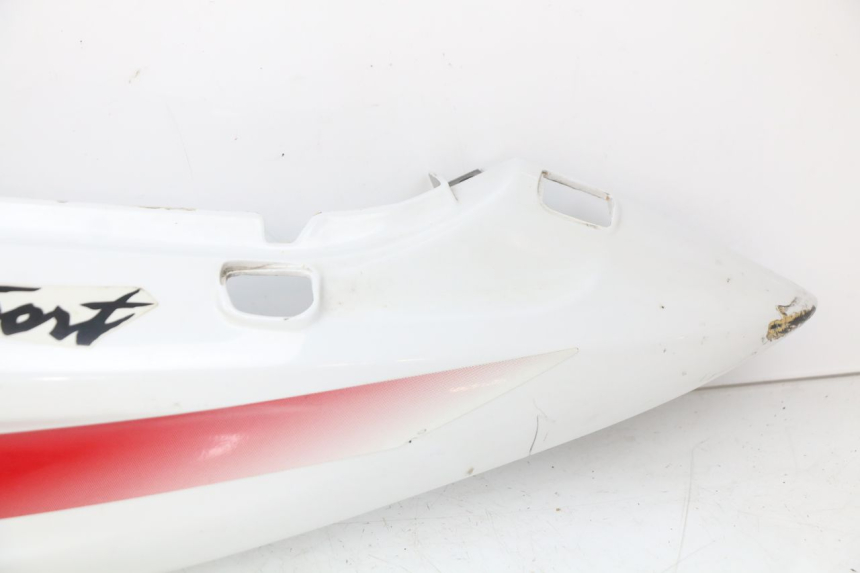 photo de HECKVERKLEIDUNG YAMAHA YZF R THUNDERCAT 600 (1996 - 2003)