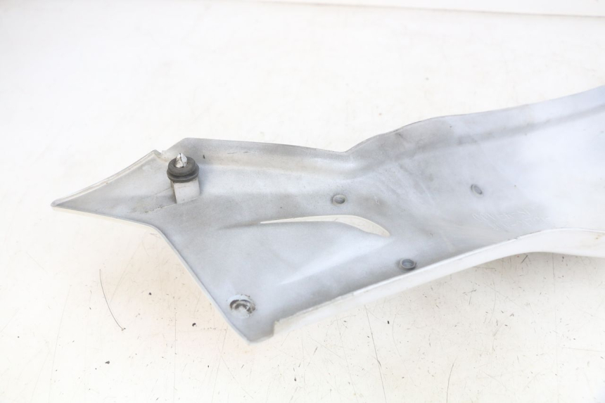 photo de HECKVERKLEIDUNG YAMAHA YZF R THUNDERCAT 600 (1996 - 2003)