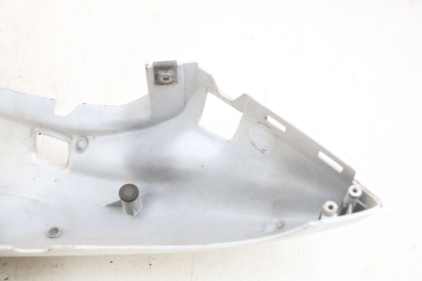 photo de HECKVERKLEIDUNG YAMAHA YZF R THUNDERCAT 600 (1996 - 2003)