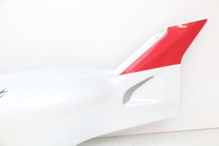 photo de HECKVERKLEIDUNG YAMAHA YZF R THUNDERCAT 600 (1996 - 2003)